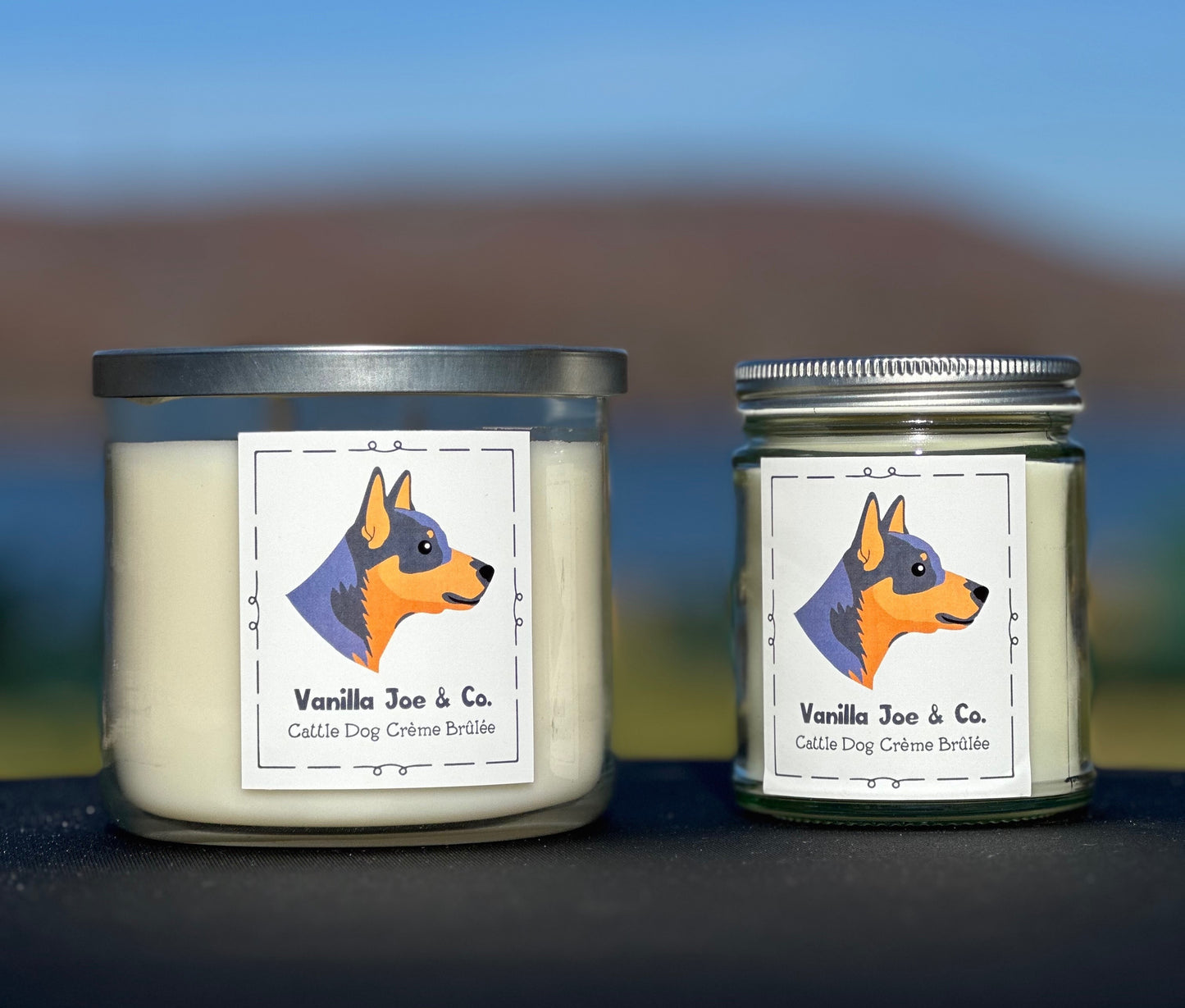 Cattle Dog Crème Brûlée
