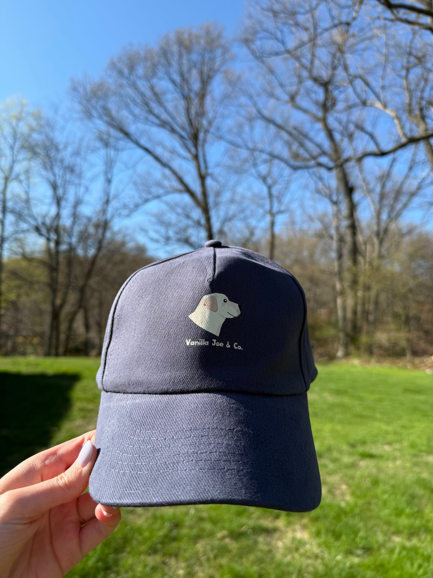 Vanilla Joe & Co. Baseball Cap