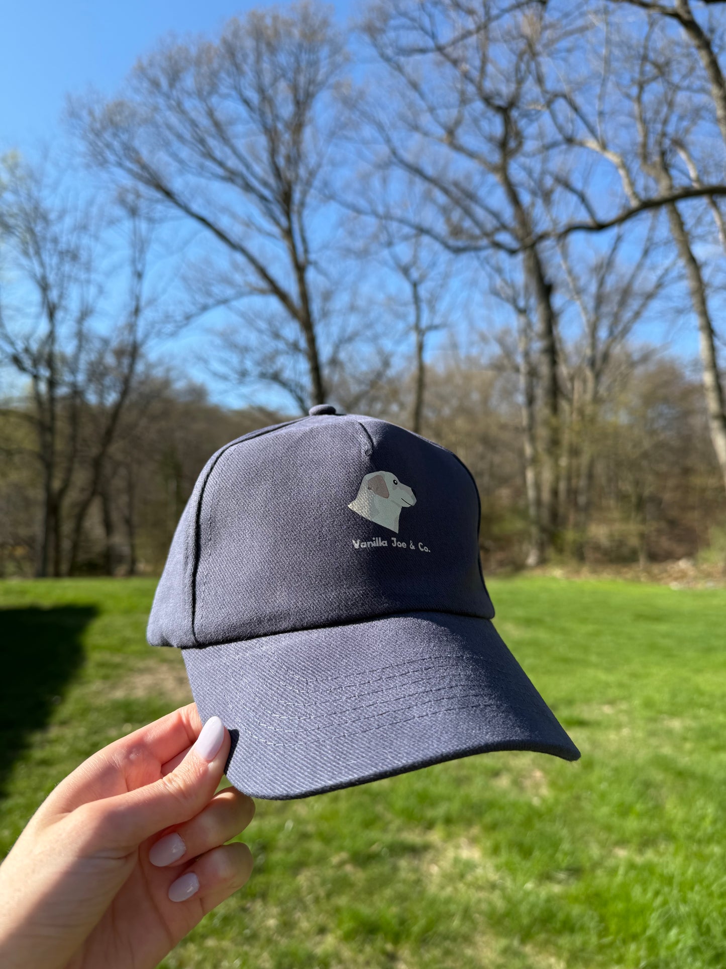 Vanilla Joe & Co. Baseball Cap