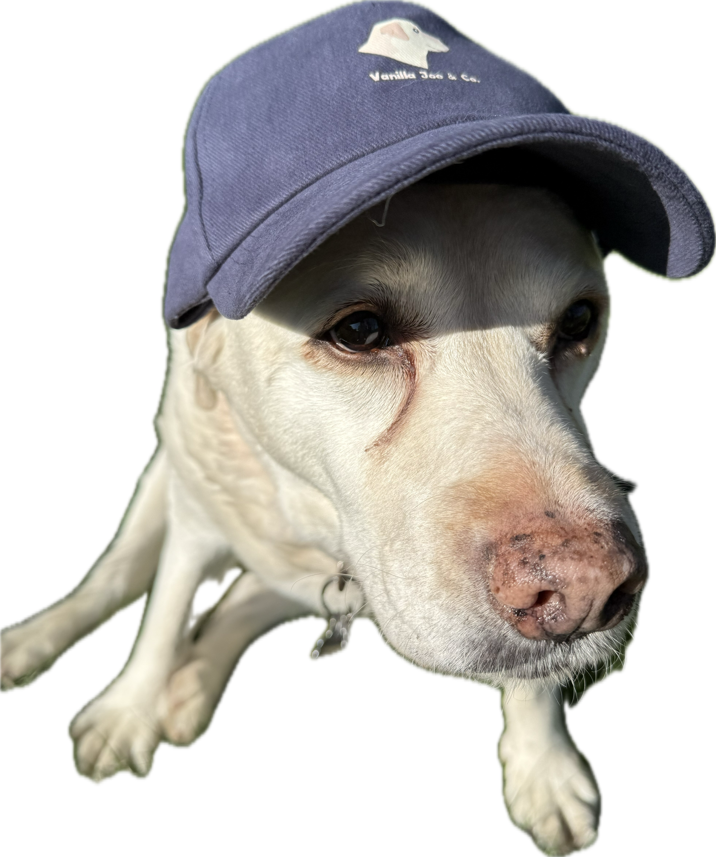 Vanilla Joe & Co. Baseball Cap
