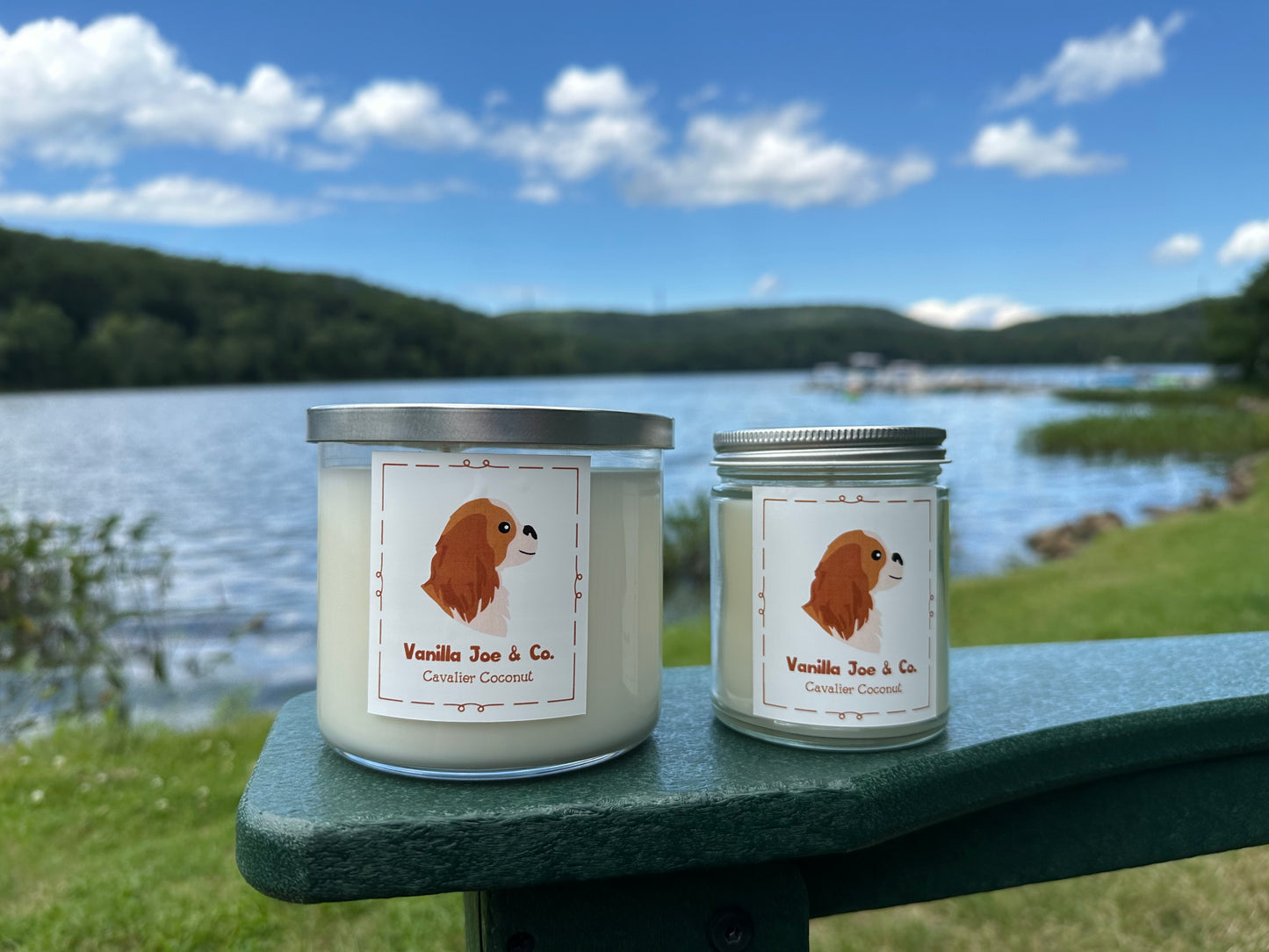 Cavalier Coconut
