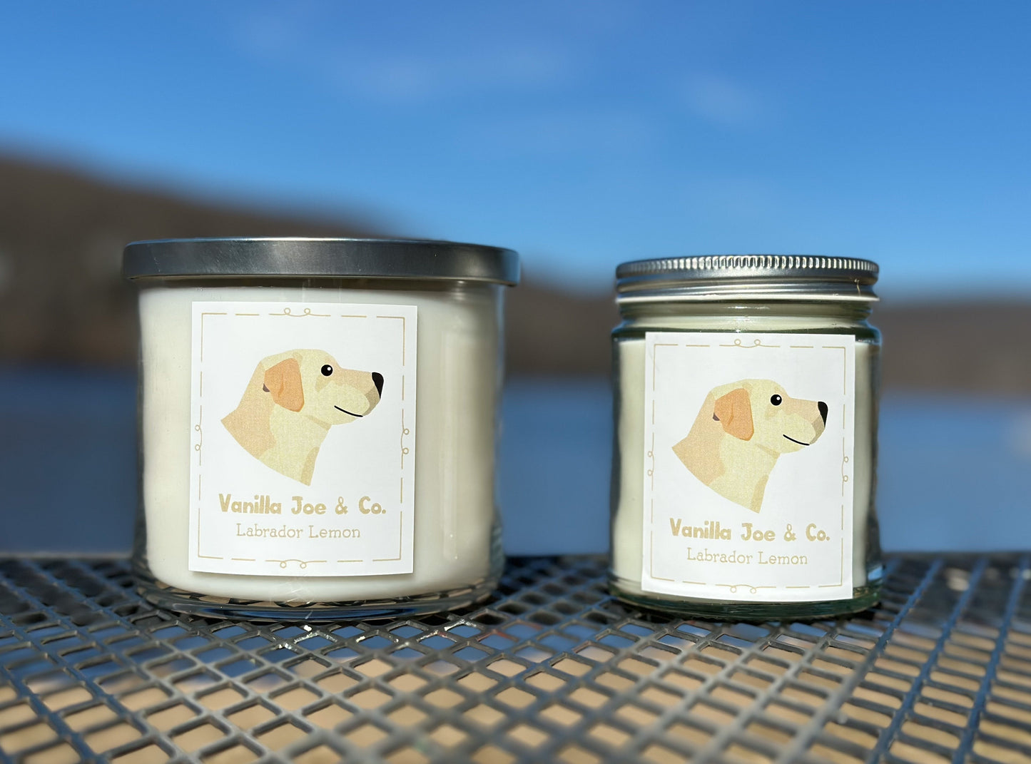 Labrador Lemon