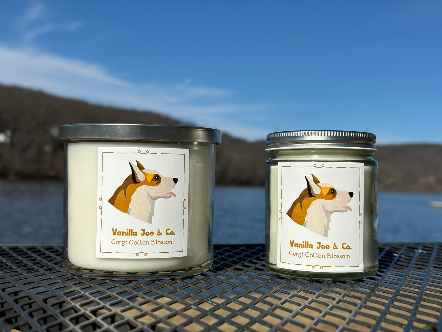 Corgi Cotton Blossom