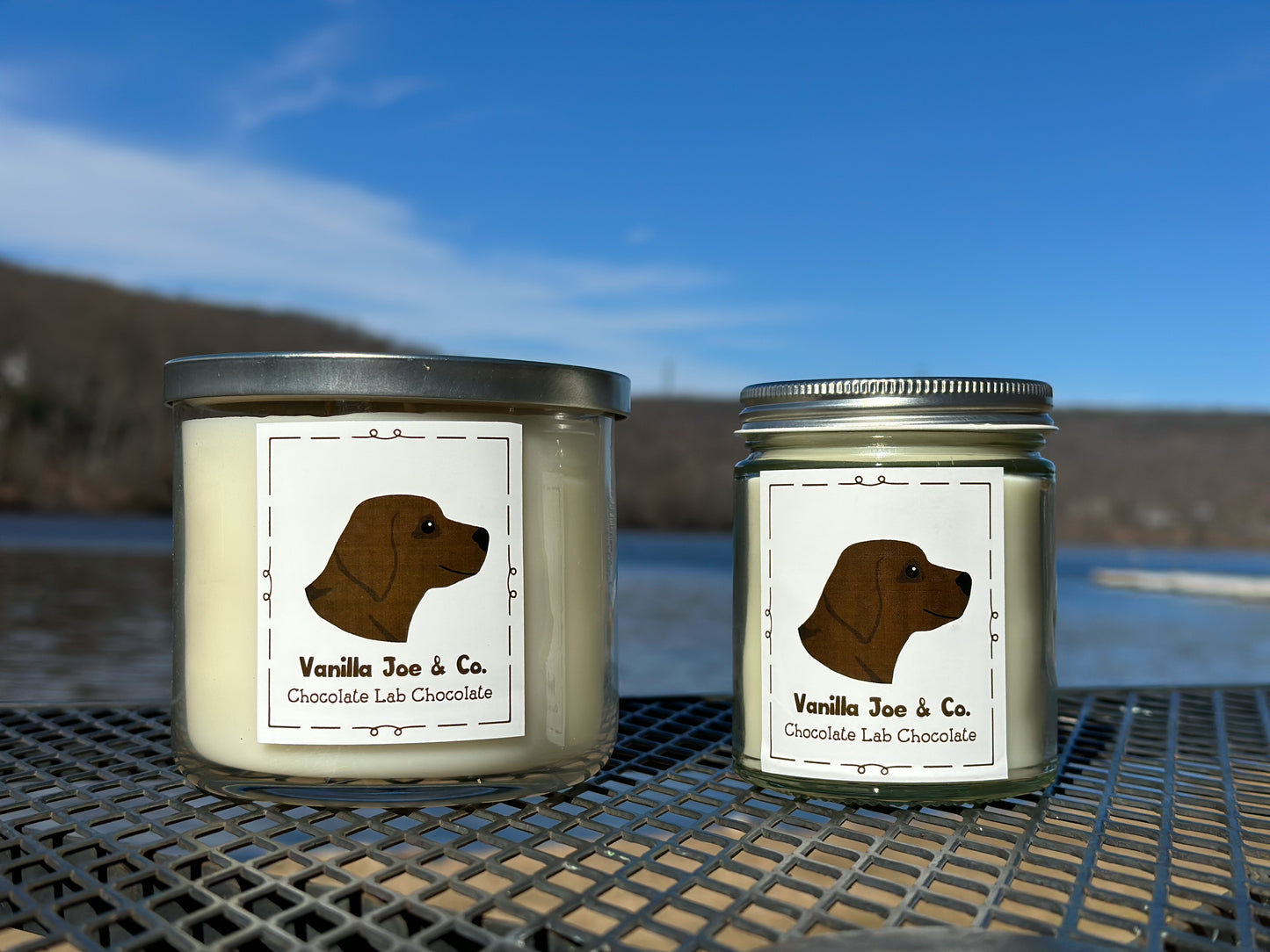 Chocolate Lab Chocolate
