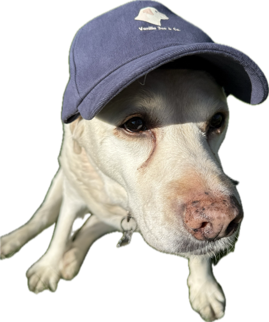 Vanilla Joe & Co. Baseball Cap